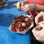 Crawfish at Jazz Fest