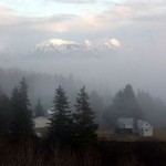 Foggy Homer from the hill