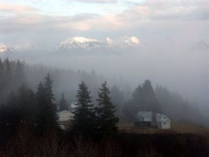 Foggy Homer from the hill