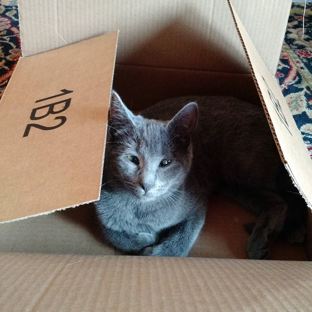 Berta in a box.