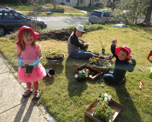 Spring planting