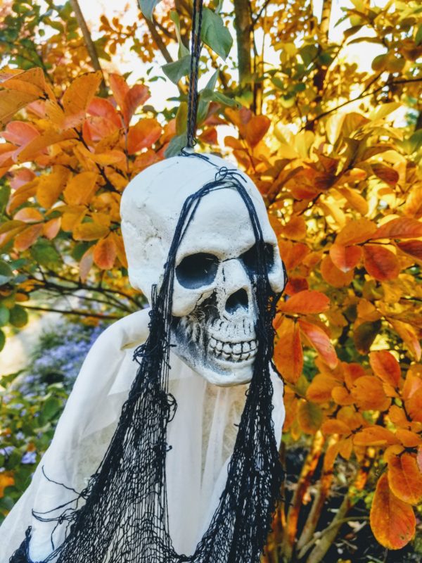 Spooky skeleton ghost