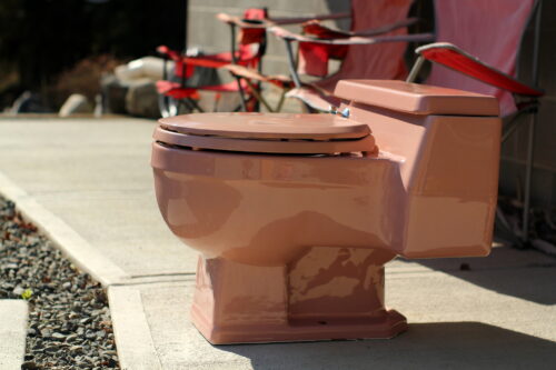 Pink toilet