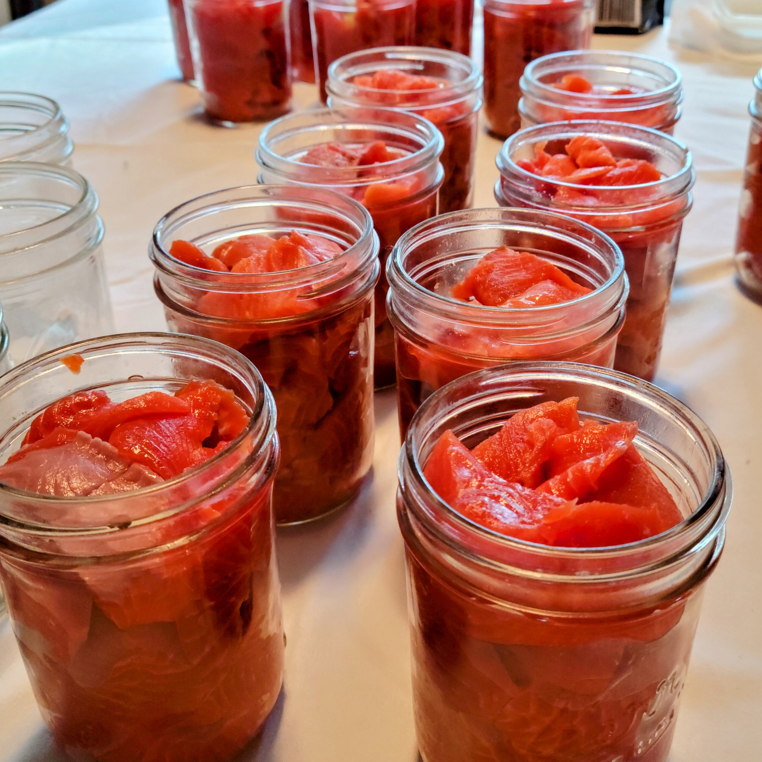 Jars of red salmon on a table.